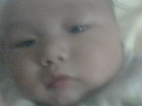 IMG0309A.jpg