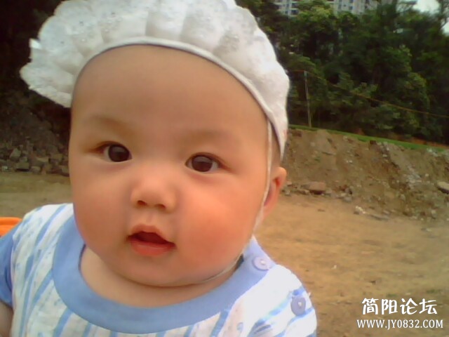 IMG0087A.jpg