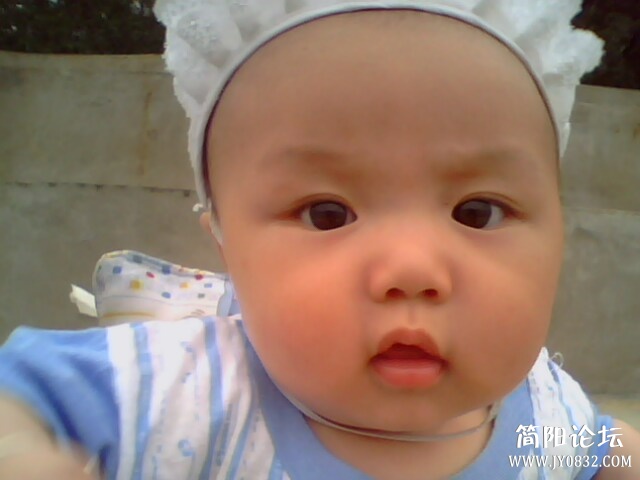 IMG0090A.jpg