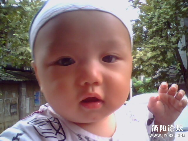 IMG0155A.jpg