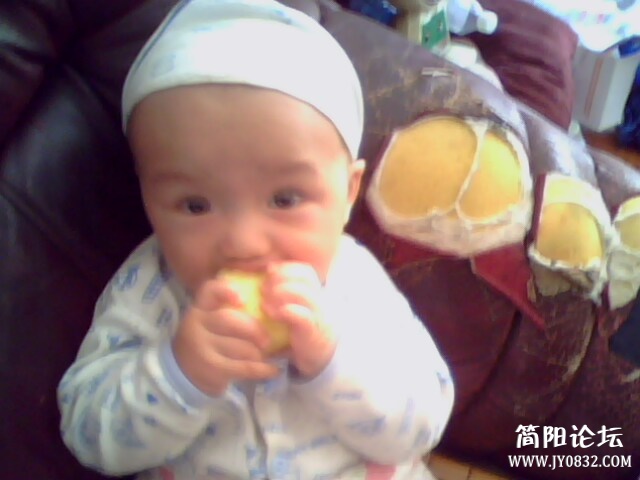 IMG0158A.jpg