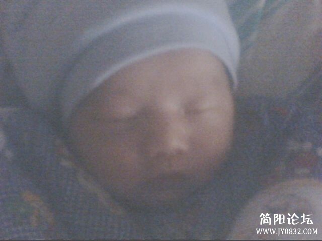 IMG0049A.jpg
