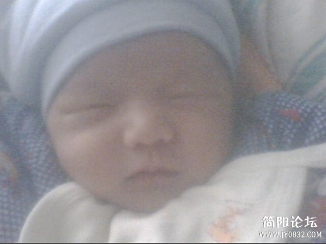 IMG0050A.jpg