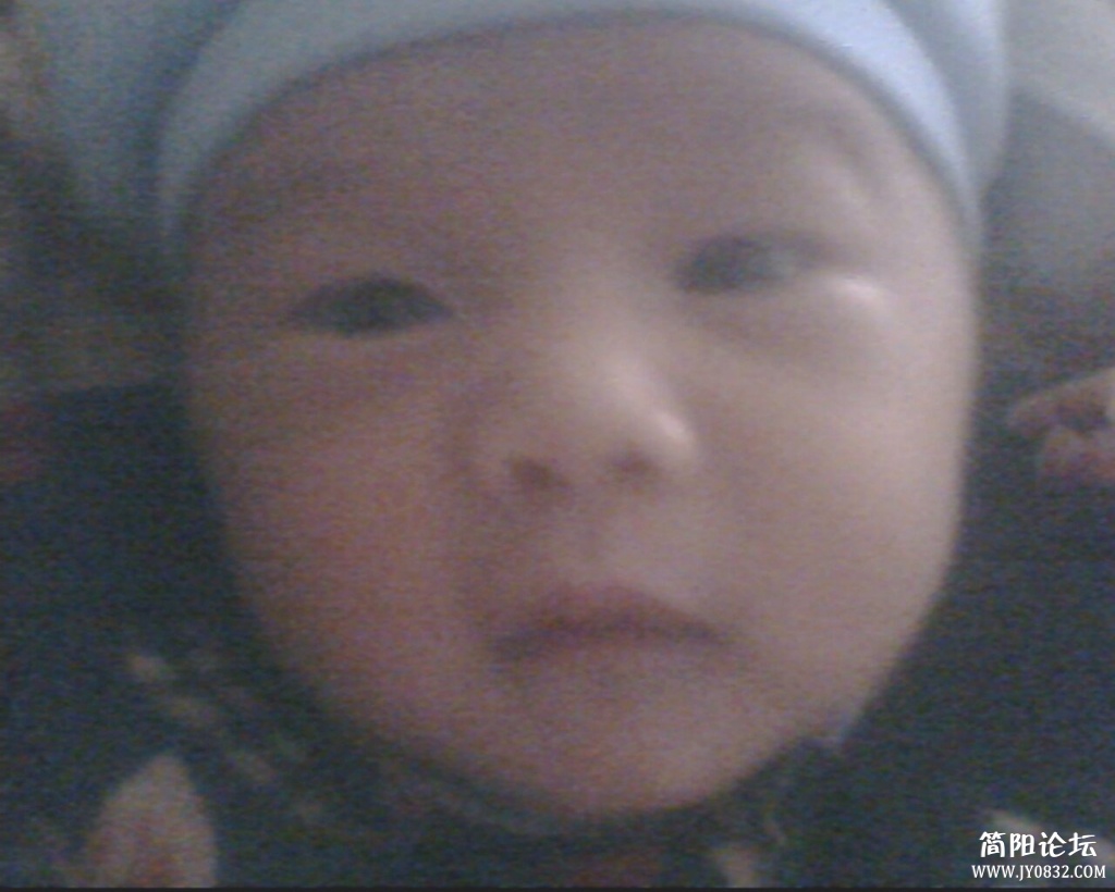 IMG0100A.jpg