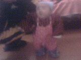 IMG0146A.jpg