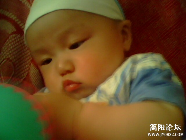 IMG0060A.jpg