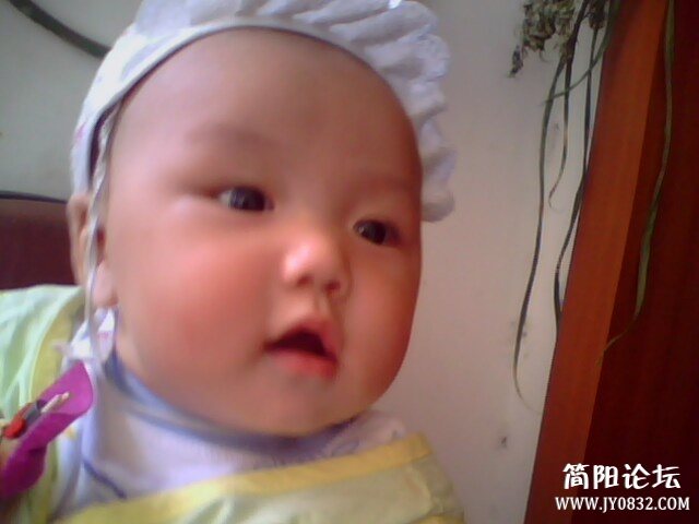 IMG0066A.jpg