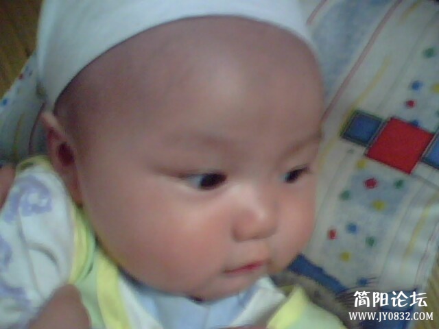 IMG0074A.jpg