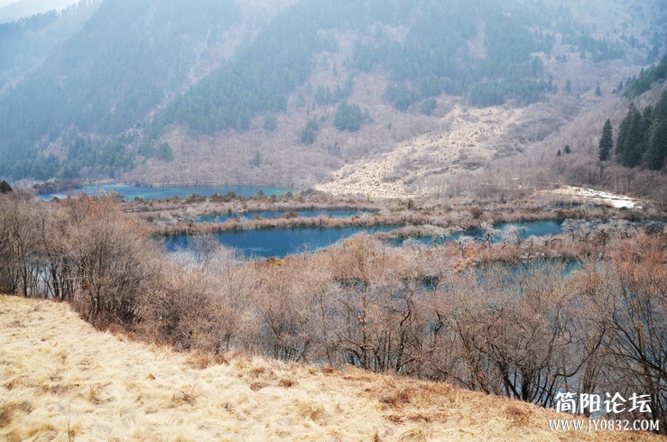 DSC_1988_调整大小_调整大小.JPG