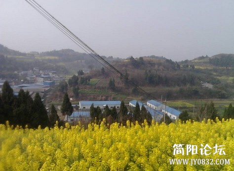 未命名.jpg