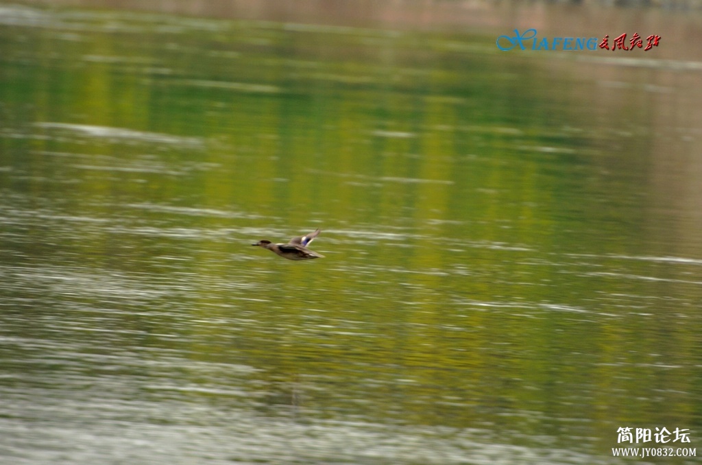 DSC_7364.jpg