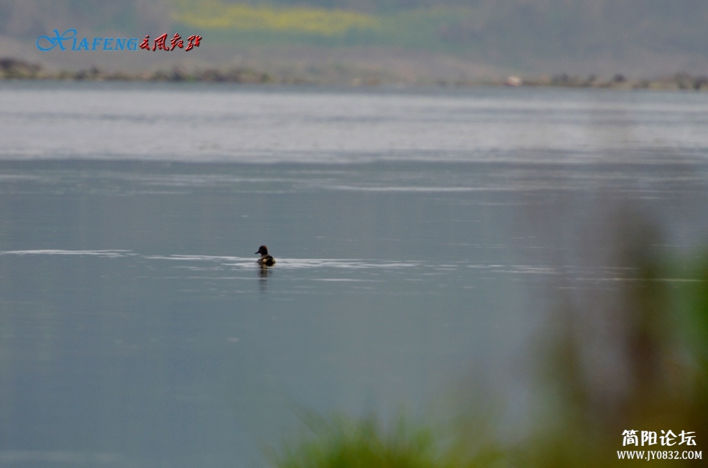 DSC_7452.jpg