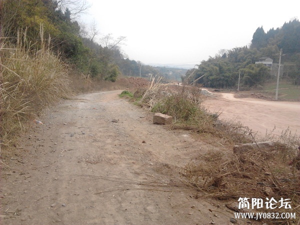 2013-02-14 13.43.51_副本.jpg