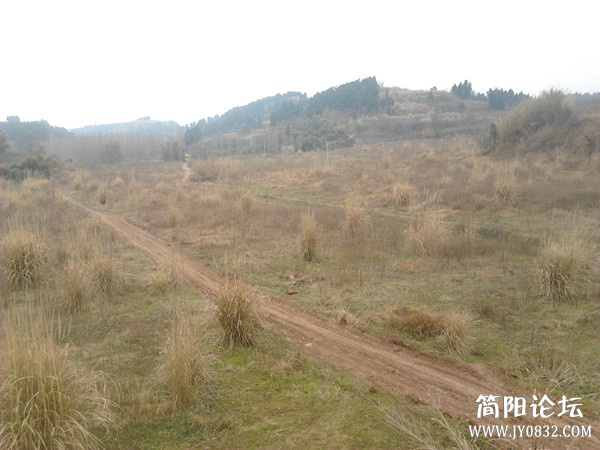 2013-02-14 14.17.21_副本.jpg
