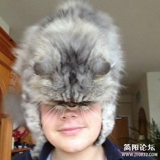 1 (19).jpg