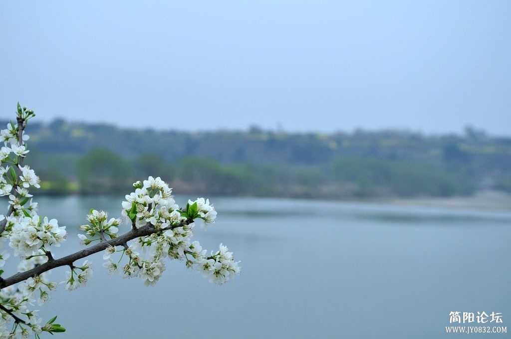 DSC_0061.JPG