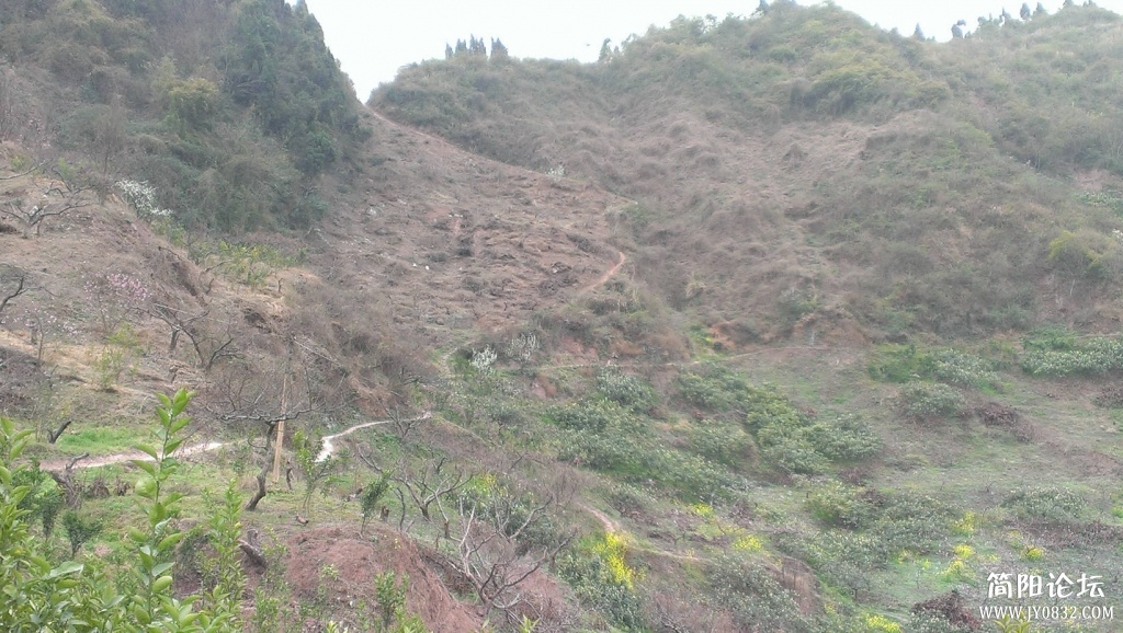 IMAG0031.jpg