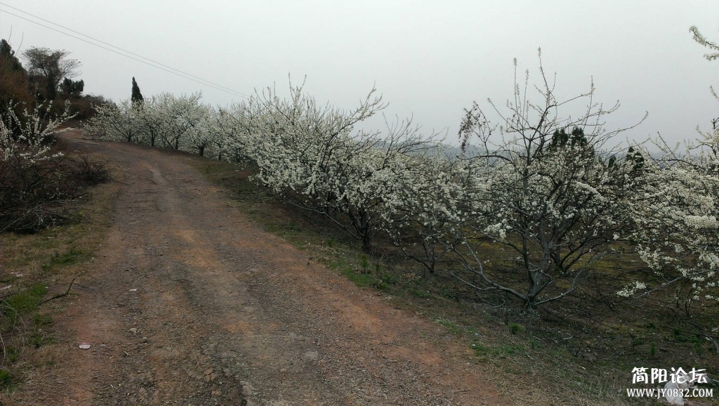 IMAG0041.jpg