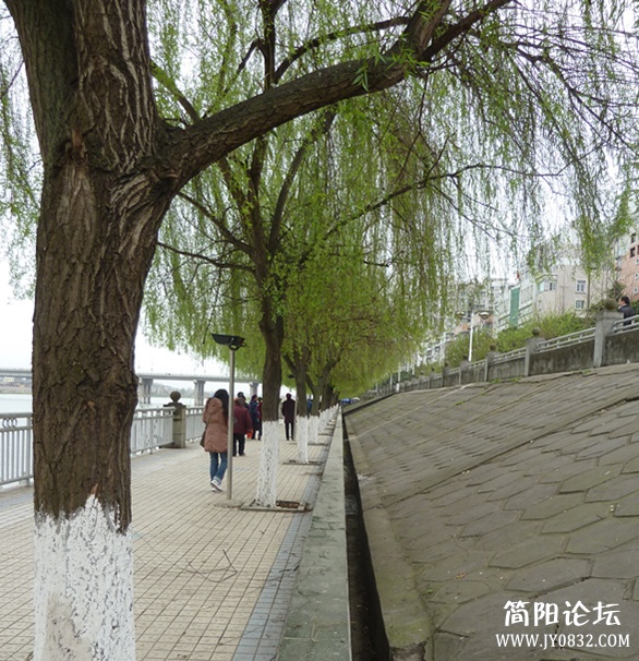 p1040975_副本.jpg