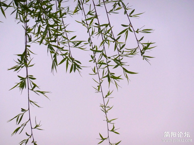 p1040978_副本.jpg