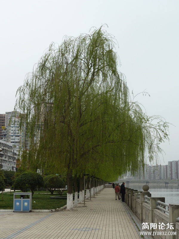 p1040981_副本.jpg