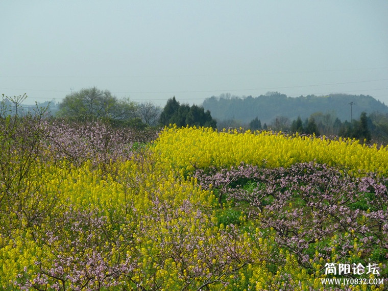 p1050015_副本_副本.jpg