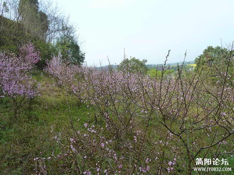 p1050063_副本_副本.jpg