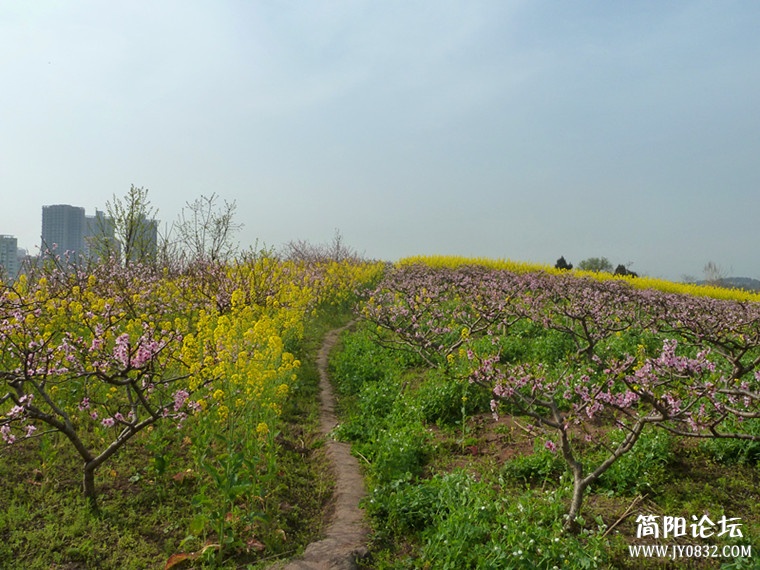 p1050036_副本_副本.jpg
