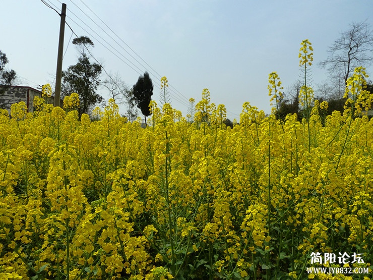 p1050078_副本_副本.jpg