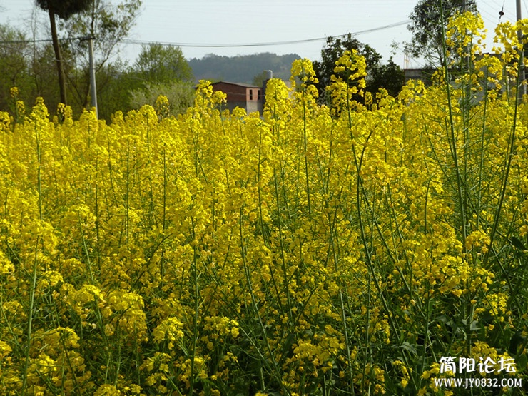 p1050092_副本_副本.jpg