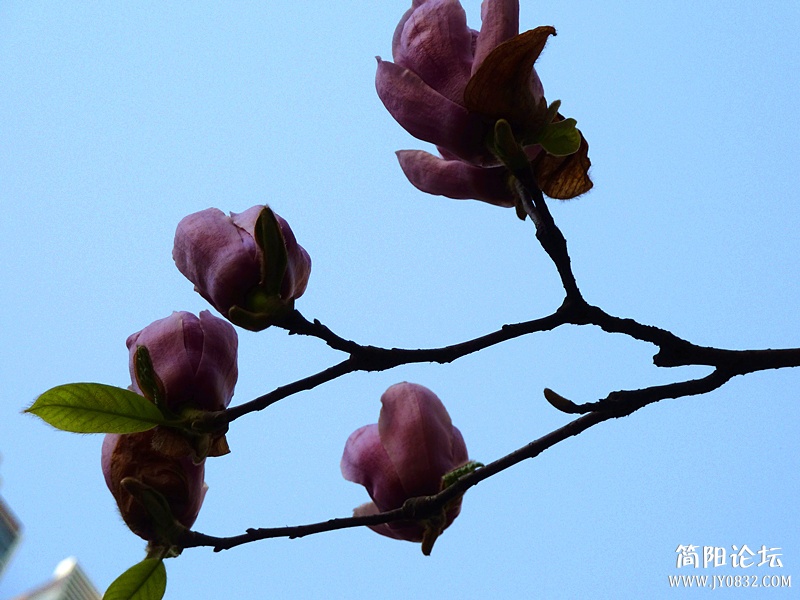p1050098_副本.jpg