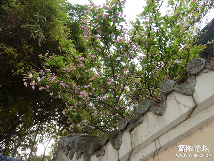 p1050102_副本_副本.jpg
