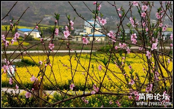 春光1.jpg