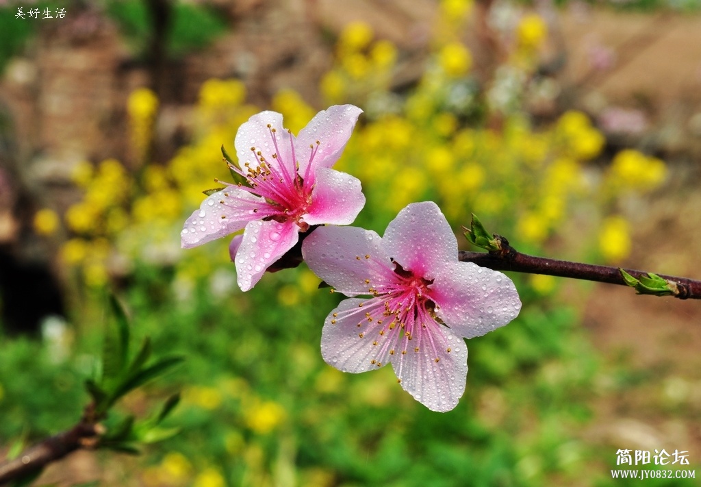 DSC_0147.JPG