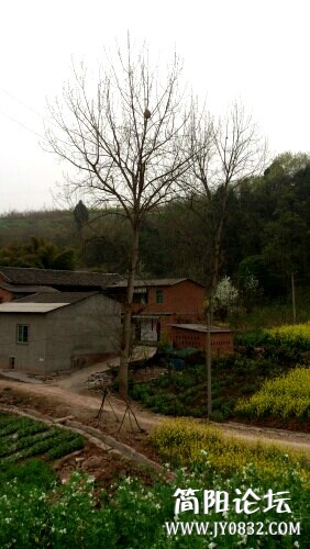 IMG20130311110528.jpg