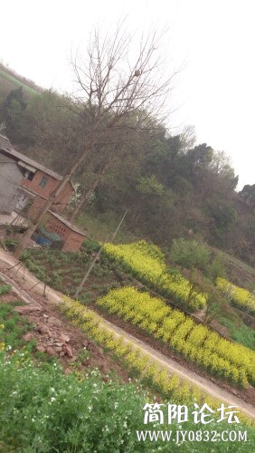 IMG20130311110645.jpg