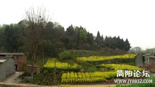 IMG20130311110736.jpg