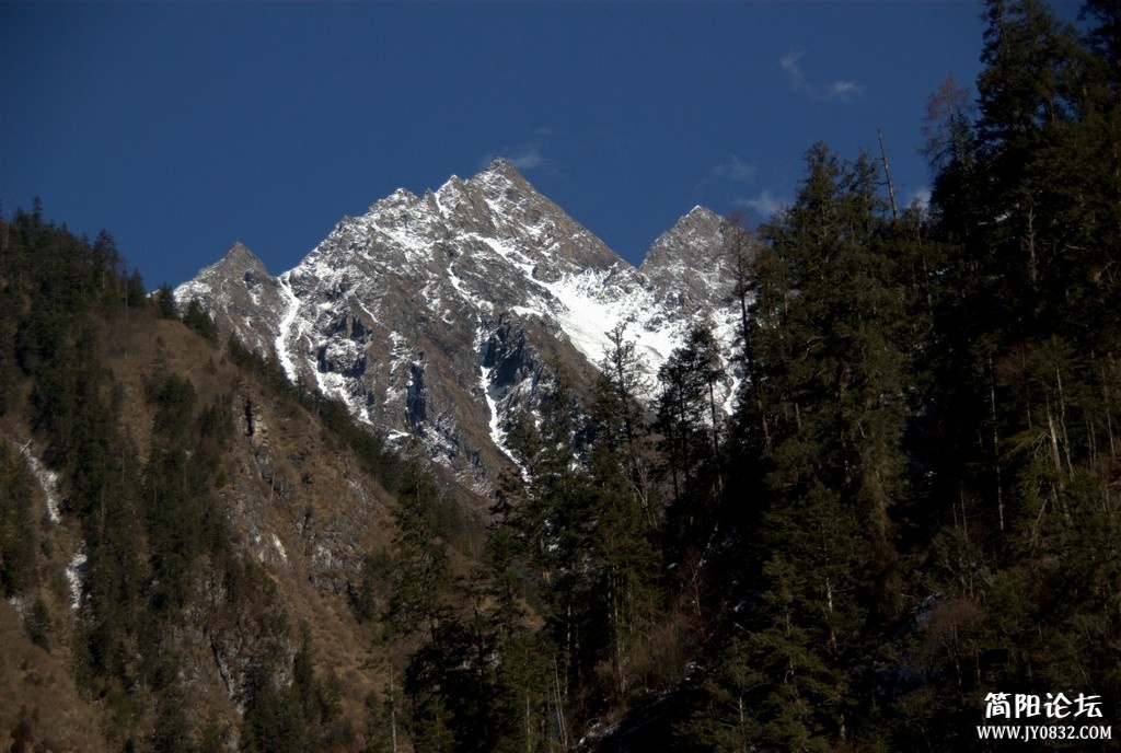 IMGP0164.jpg