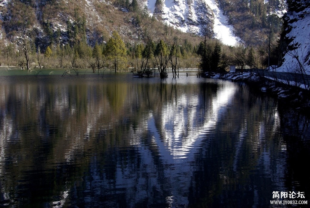 IMGP9917s.jpg