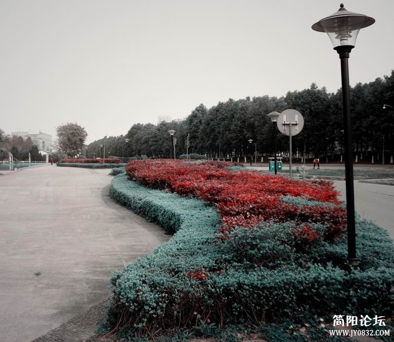 DSCF4001.JPG