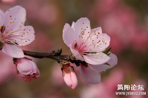 img_2595_副本.jpg