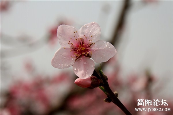 img_2623_副本.jpg