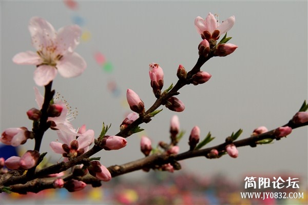 img_2629_副本.jpg
