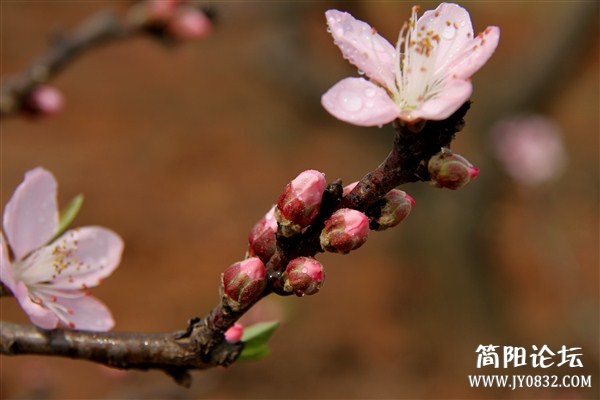 img_2635_副本.jpg