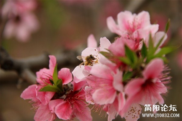 img_2683_副本.jpg