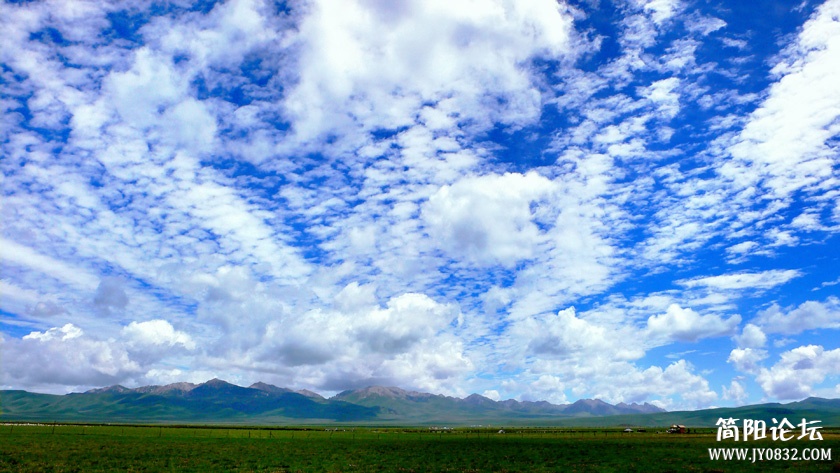 P1020196  副本.jpg