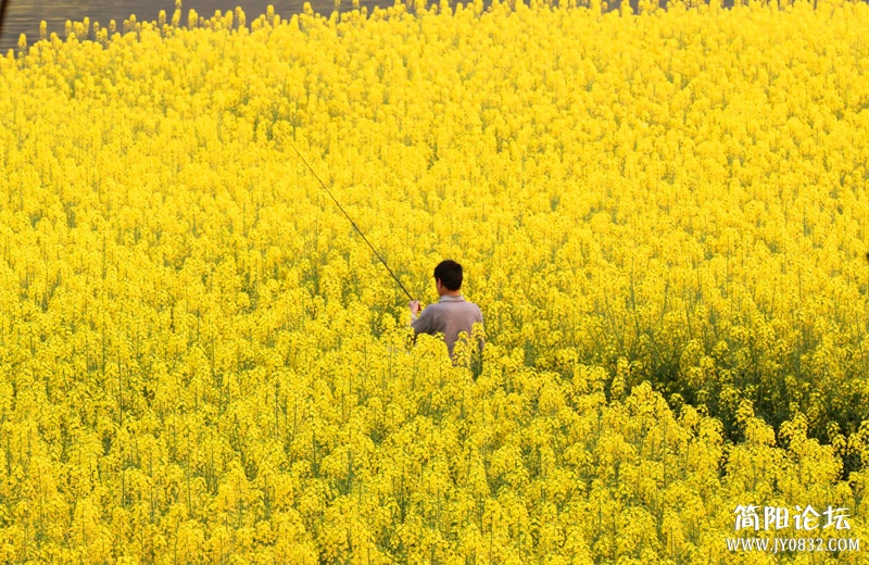 春钓去-1.jpg