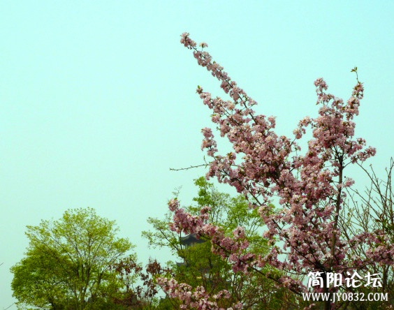 P1090677_副本.jpg