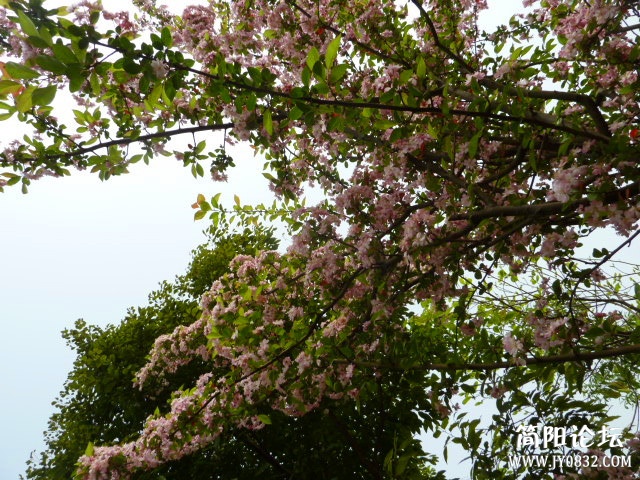 P1090680_副本.jpg