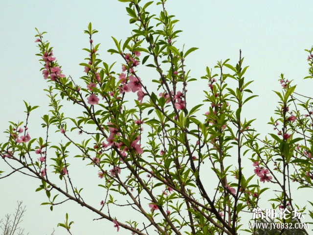 P1090689_副本.jpg